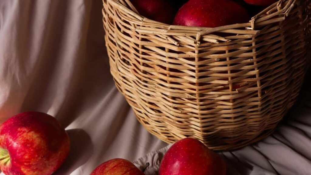 Come Gli Influencer Italiani Possono Collaborare Con Brand Australiani Su Instagram