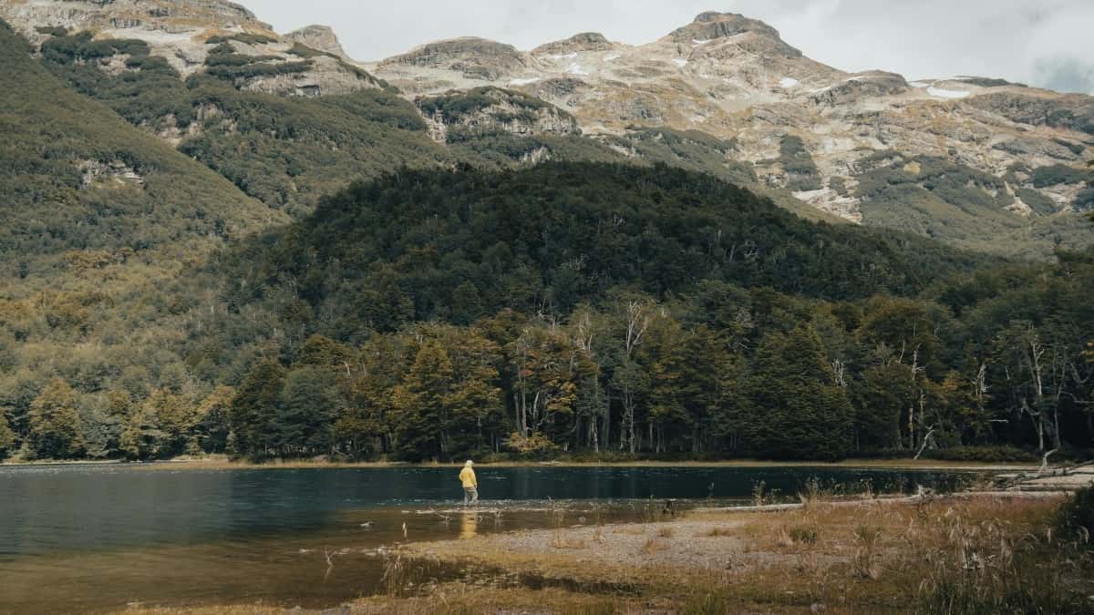 Tariffe Advertising TikTok Germania 2025 per Inserzionisti Italiani