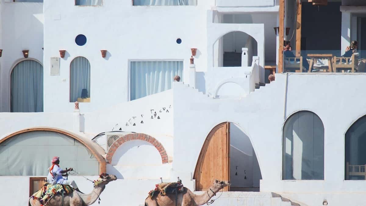 Brand in Turchia e QQ: Idee su contenuti personalizzati per advertiser italiani