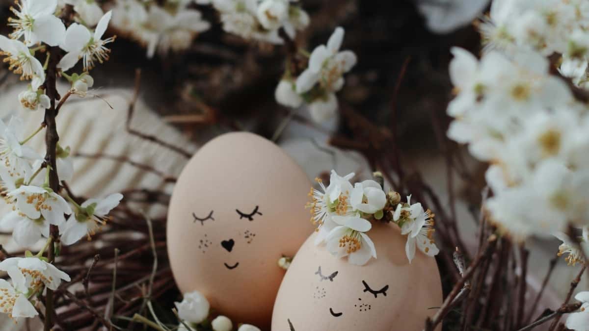 Come i Creator Boliviani Usano Twitter per Offrire Post Social Esclusivi