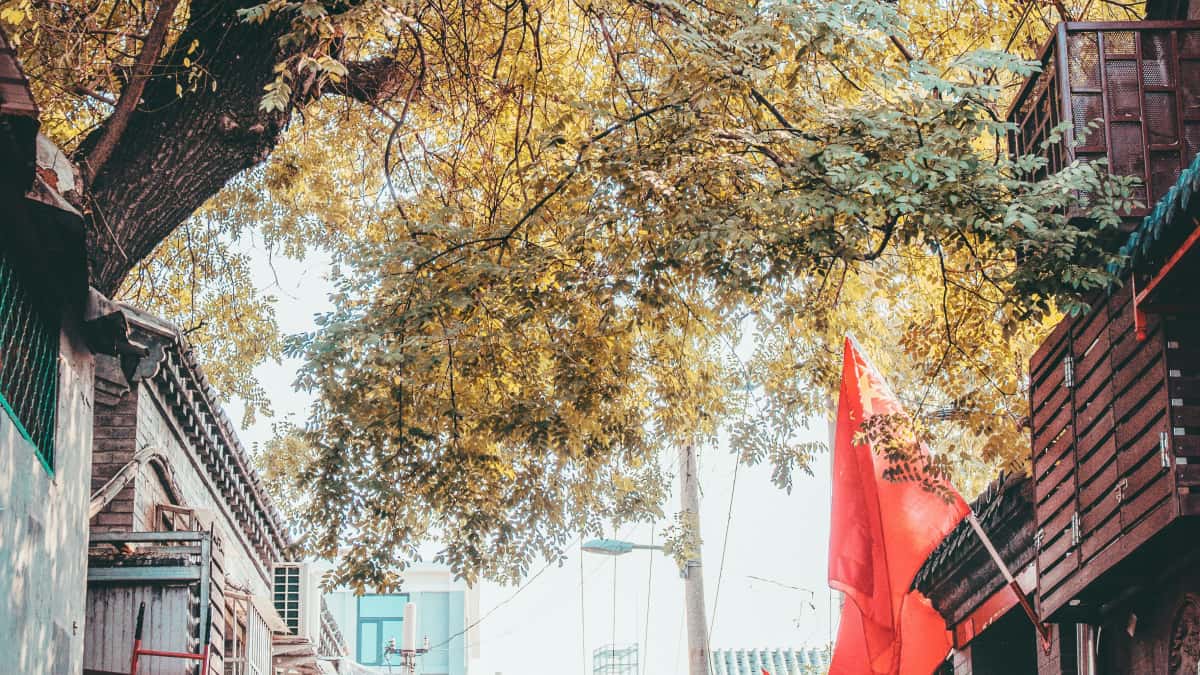 Brand IT: creator Instagram Sudafrica per engagement boom