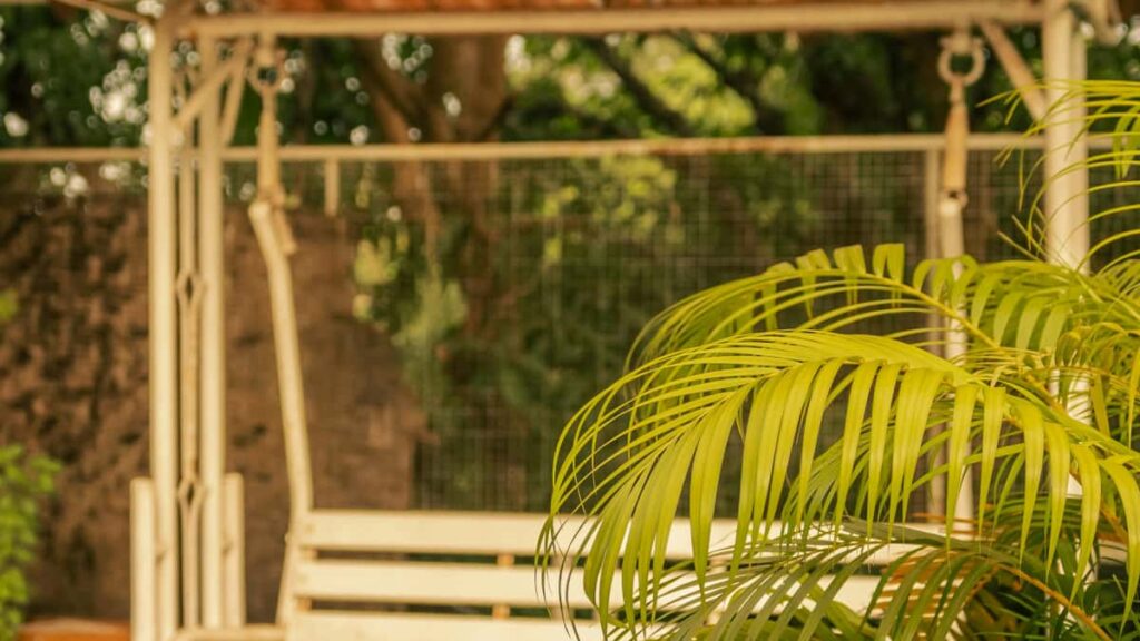 Strategia pratica per creator italiani: come trovare, contattare e collaborare con brand omaniti su Xiaohongshu per promuovere abitudini sane ai tuoi follower.