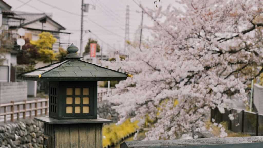 Guida pratica per advertiser in Italia su come individuare e ingaggiare creator su Shopee Islanda per far crescere la visibilita di brand clean beauty.