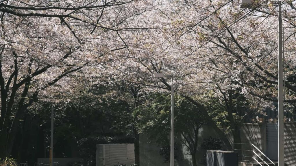 Strategie pratiche per individuare creator LinkedIn in Ecuador e aumentare l'engagement del brand, con consigli localizzati per advertiser in Italia.