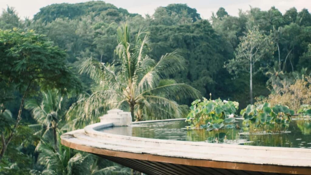 Guida pratica per advertiser italiani: come trovare creator su Viber in Sri Lanka per lanciare fitness challenge guidate da influencer locali.