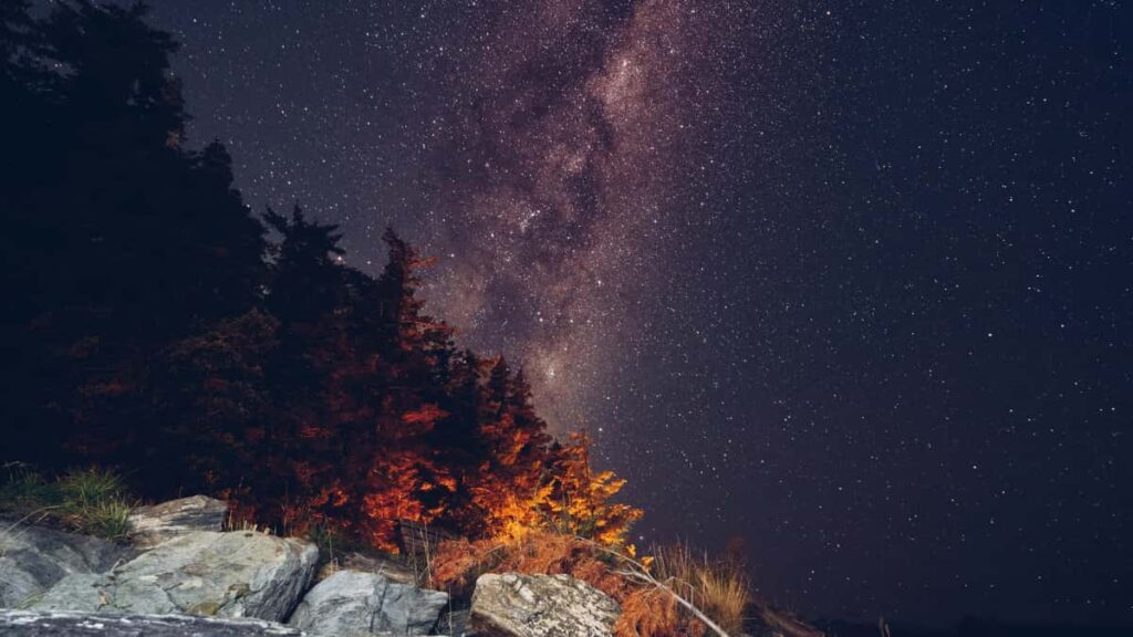 Guida pratica per creator italiani: strategie per raggiungere brand kuwaitiani su TikTok e proporre video primaedopo che convertono.