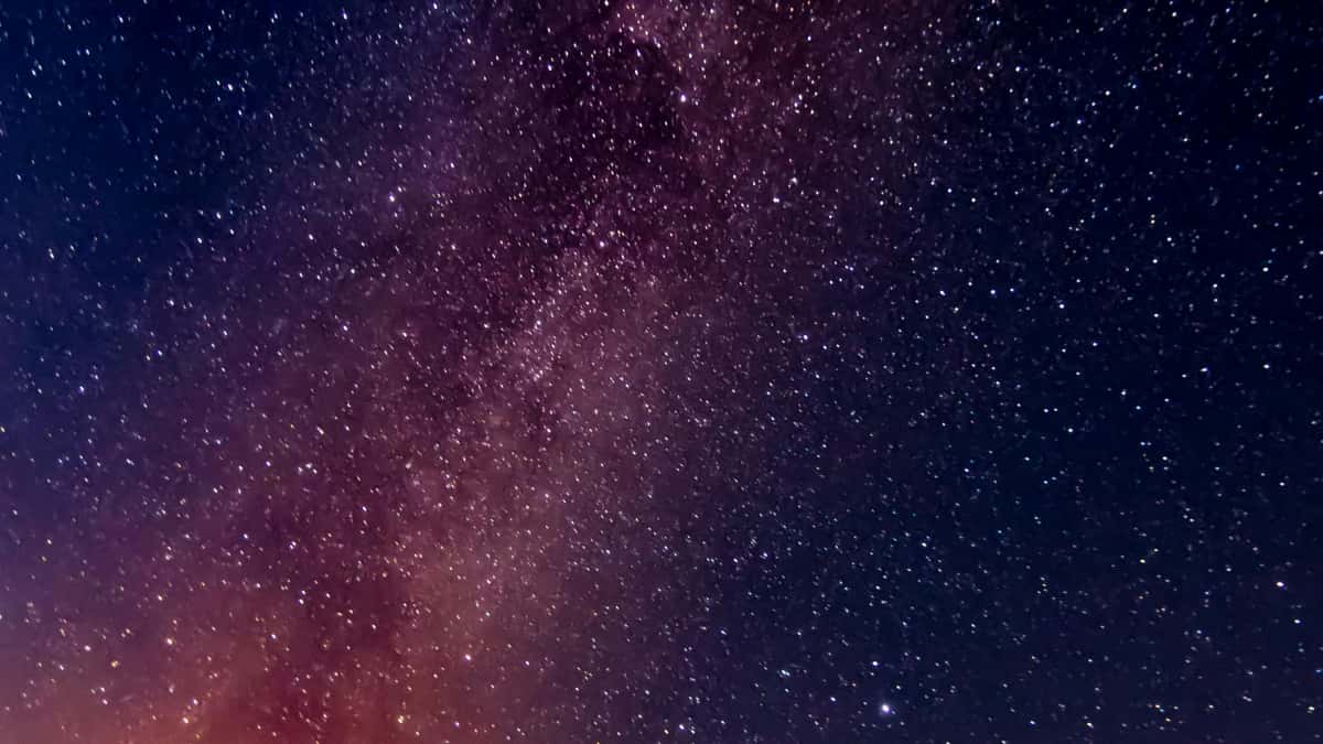 Creator IT: trovare brand vietnamiti su OnlyFans per GRWM