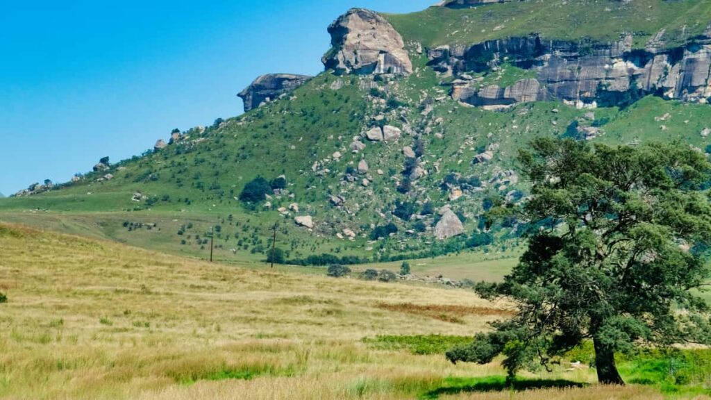 Guida pratica per creator in Italia su come raggiungere brand francesi su Bilibili, costruire proposte di streaming sponsorizzato per giochi e massimizzare conversioni nel 2025.