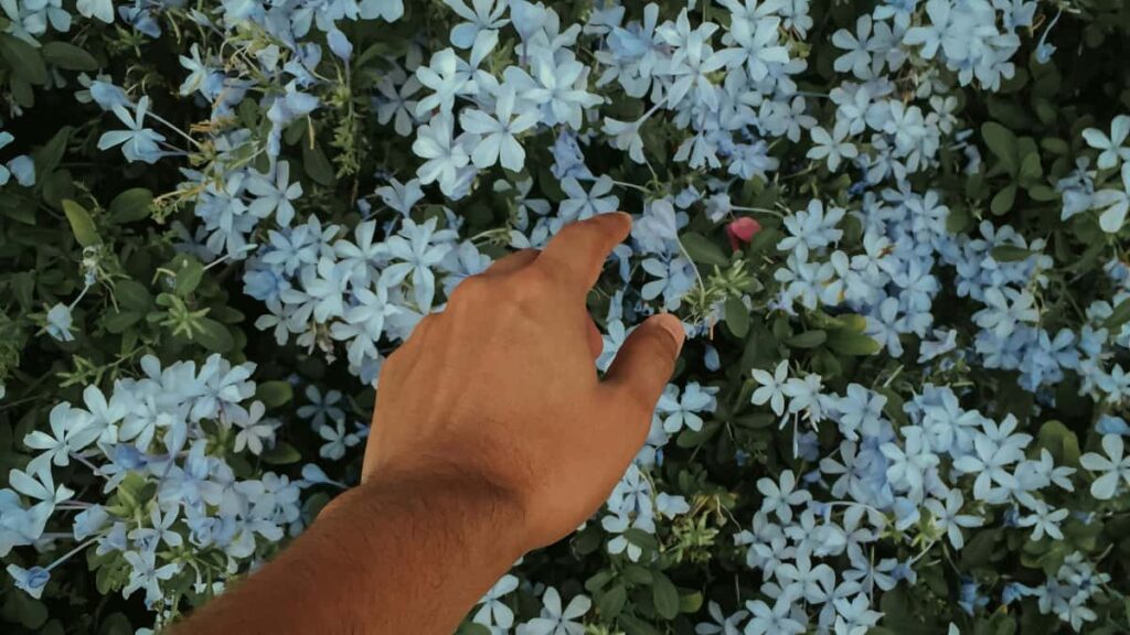 Guida pratica per advertiser in Italia: come individuare e ingaggiare creator paraguayani su KakaoTalk per campagne di sostenibilita guidate dai creator.