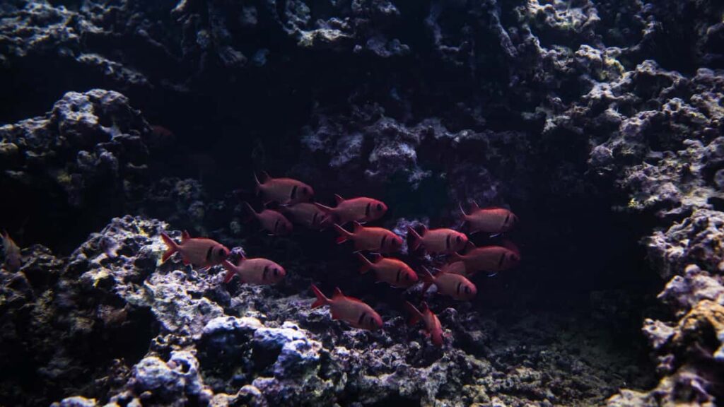 Guida pratica per advertiser in Italia su come trovare creator UK che promuovano routine wellness con prodotti Taobao e campagne influencer efficaci.