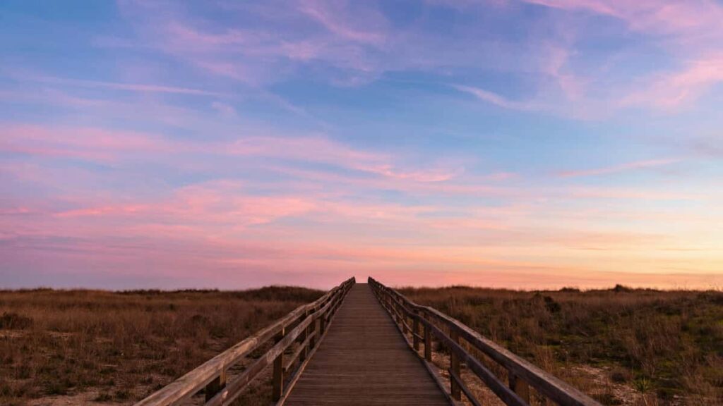 Guida pratica per creator italiani: come trovare, contattare e convertire brand dell'Oman su Twitter usando CTA efficaci e strategie conversazionali.