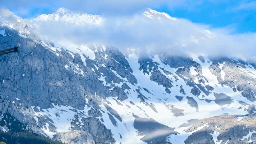 Guida pratica per advertiser in Italia su come trovare e collaborare con creator Zalo in Belgio per raggiungere micro-nicchie, con strategie, rischi e strumenti operativi.