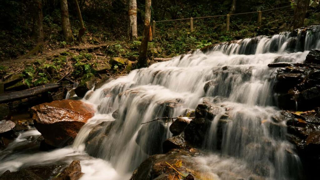 Guida pratica per creator italiani: strategie reali per avvicinare brand spagnoli su Instagram e co-creare product bundle esclusivi, con dati IAB Spain e studi accademici a supporto.