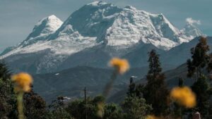 Guida pratica per advertiser italiani: come identificare, valutare e attivare creator Kuaishou in Iraq per campagne basate sul coinvolgimento.