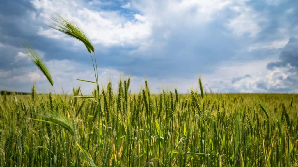 Guida pratica per advertiser in Italia: come identificare, valutare e costruire partnership a lungo termine con creator midtier su LinkedIn in Colombia.